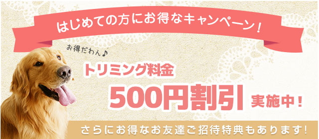 サービス内容 料金表 犬の美容室 茶々 サービス内容 料金表 犬の美容室 茶々